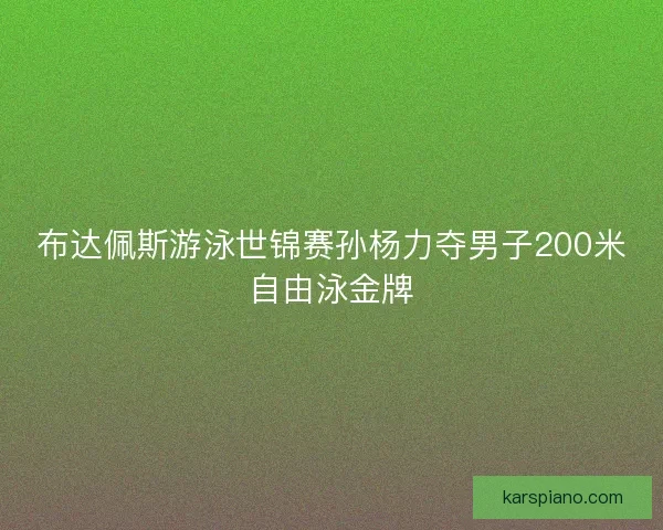 布达佩斯游泳世锦赛孙杨力夺男子200米自由泳金牌