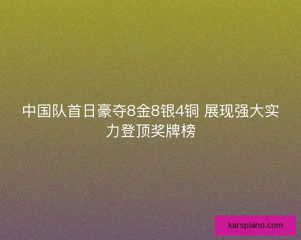 中国队首日豪夺8金8银4铜 展现强大实力登顶奖牌榜